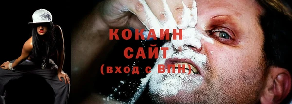 ПСИЛОЦИБИНОВЫЕ ГРИБЫ Горнозаводск