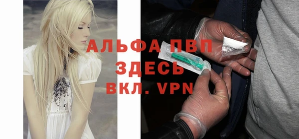 ПСИЛОЦИБИНОВЫЕ ГРИБЫ Горнозаводск