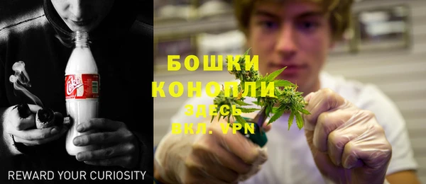 ПСИЛОЦИБИНОВЫЕ ГРИБЫ Горнозаводск