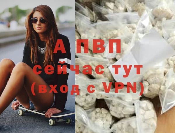 ПСИЛОЦИБИНОВЫЕ ГРИБЫ Горнозаводск