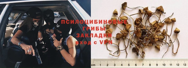 трава Горняк